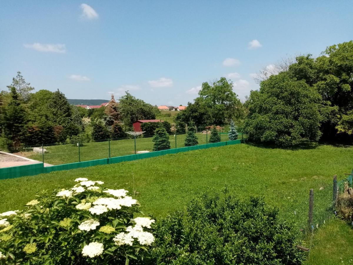 Ferienwohnung Thefi Vendeghaz Zánka Exterior foto