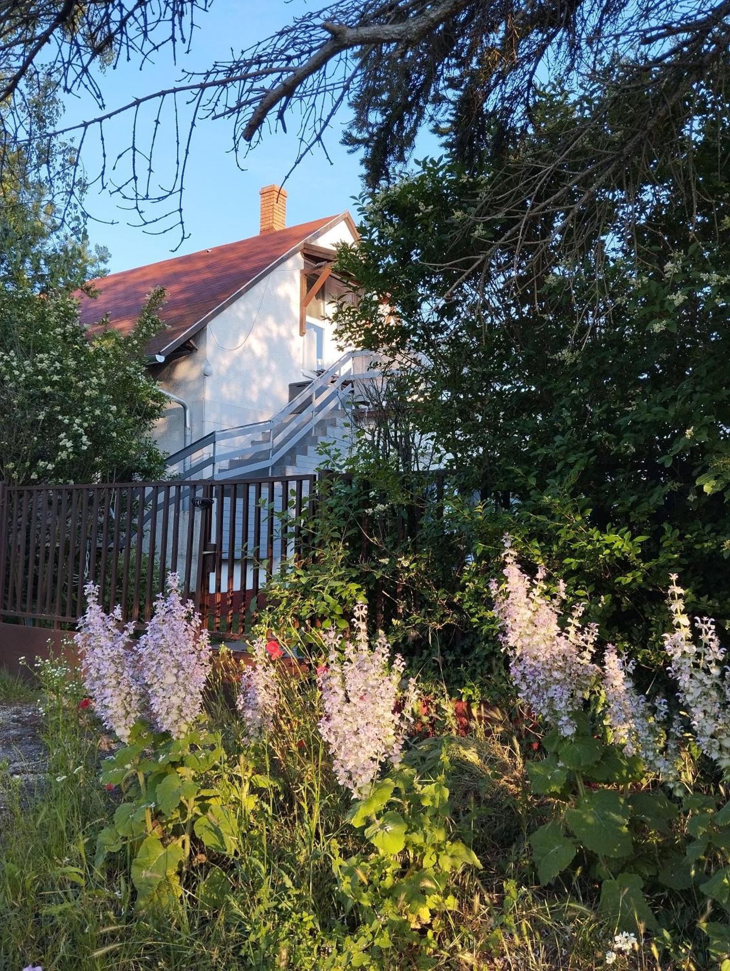 Ferienwohnung Thefi Vendeghaz Zánka Exterior foto